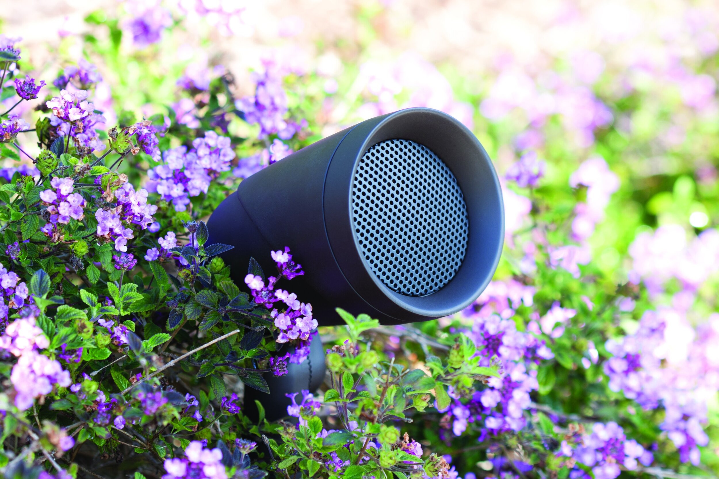 ci speaker